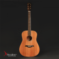 Swallow Acoustic Guitar D700