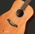 Swallow Acoustic Guitar D900