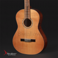 Swallow Classic Guitar C300A