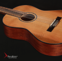 Swallow Classic Guitar C300A