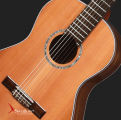 Swallow Classic Guitar C900A
