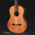 Swallow Classic Guitar C900A
