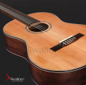 Swallow Classic Guitar C900A