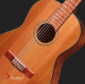 Swallow Classic Guitar CM01A