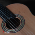 Swallow Classic Guitar C610