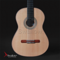 Swallow Classic Guitar C610
