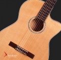 Swallow Classic Guitar C610ce
